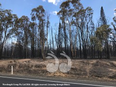 Fire Update February 15 Fire Update February 15