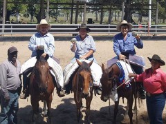 Team Penning Success Team Penning Success