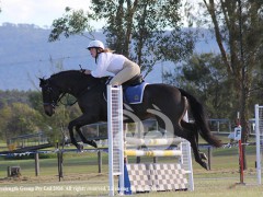 Horse Sports Success Horse Sports Success
