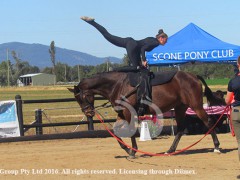 Vaulting Gains Momentum Vaulting Gains Momentum