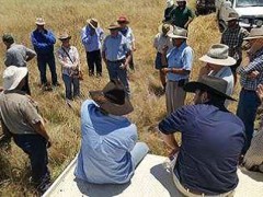 Merriwa Soil Knowledge Network Day Merriwa Soil Knowledge Network Day