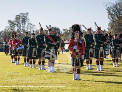 Highland Games Grows Highland Games Grows
