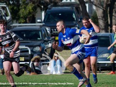 Thoroughbreds go to Singleton Thoroughbreds go to Singleton