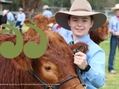 Kids and cattle muster to the Beef Bonanza