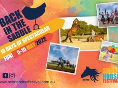 Saddle up! The Horse Festival has begun
