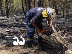 Scone Mountain fire – still not out of the woods