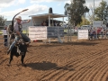 The 2016 futurity bucking bull sale in Scone.