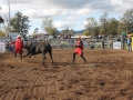 The 2016 futurity bucking bull sale in Scone.