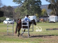 Olivia U-Reen from Muswellbrook Public School riding Peebles: opening and closing a gate.