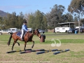 Olivia U-Reen from Muswellbrook Public School riding Peebles: walking over some obstacles.