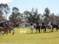 20160801InauguralStockmans05