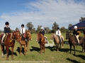 Placed in the lead class for 8 and 9 year olds: First, Olivia MacCallum from Scone Grammar; Second, Harry Warner from Scone Grammar; Third, Andrew Crowther from Scone Grammar and in a tie for fourth place Carlton Hall from Scone Grammar and Jordan Hall from Aberdeen Public School.