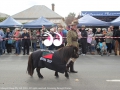 Merriwa Light Horse in the Festival of the Fleeces parade.