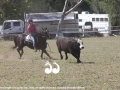 Charlie Champan riding Montana at the Gundy camp draft.
