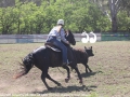 20161029CampDraft10