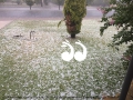 The white front yard of a home in Scone after yesterday's storm.