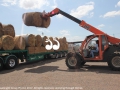 Brad loading a semi-trailer full of hay ready for tomorrow.