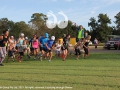 ...and they are off and racing.