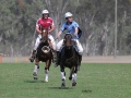 Joe Wamsley and Champion Australian Stock Horse Lulus Gift competing for New South Wales at Barastoc. Photo by Cathy Finlayson.