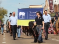 The sponsors of the parade Scone Equine Hospital.