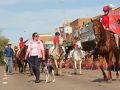 Murrurundi and District Pony Club.