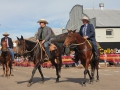 Parade Marshalls this year were Tony Clifford, Alan Young and John Finlayson.