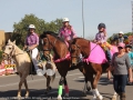 High velocity trick riding is a local equine entertainment group.