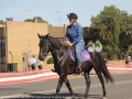 Riding to raise awareness for Brumby Protection.