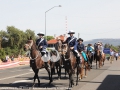 NSW Mounted Police: Senior Constable , James Faox on 'Hollywood' and Senior Constable, Pat Condon on 'Warrigal' in the Scone Horse Parade.