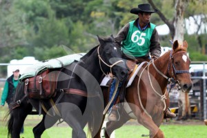 King of the Ranges, Stockman's Challenge @ Rosedale Horse Complex and Wilson Memorial Oval,  | Murrurundi | New South Wales | Australia