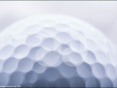 Scone Golf Report: March 15-21