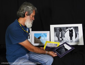 Roger looking at some of the entries in the photographic competition. Photographer: Roger Skinner