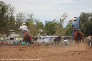 Junior Jackpot Rodeo @ White Park | Scone | New South Wales | Australia