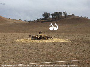 CWA - Drought Relief @ Scone RSL Club | Scone | New South Wales | Australia