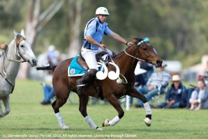 Mitch Wamsley competing in polocrosse.