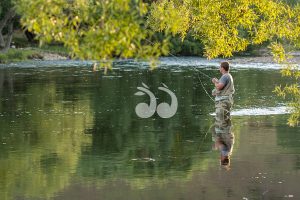 Trout Season Begins