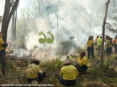 Australia’s first Aboriginal fire management course