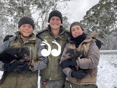 Photo gallery: Aussie Ark winter wonderland