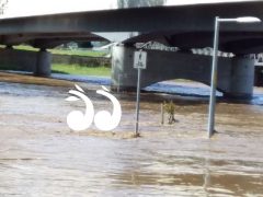 Rainfall and river conditions