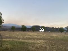 Update: Scone Mountain fire – Monday